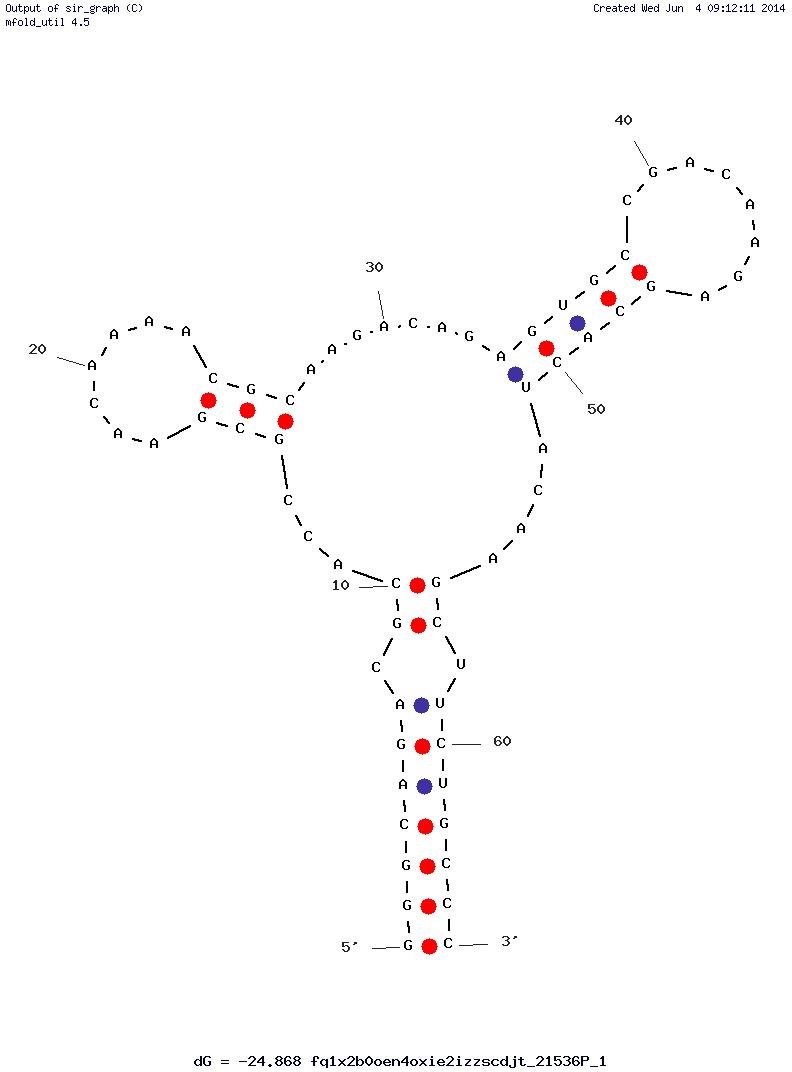 Estrogen Aptamer (AptER-1) structure