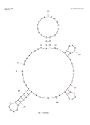 20-5 structure
