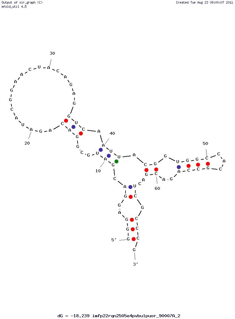 Neurotensin receptor NTS-1 (P19) structure