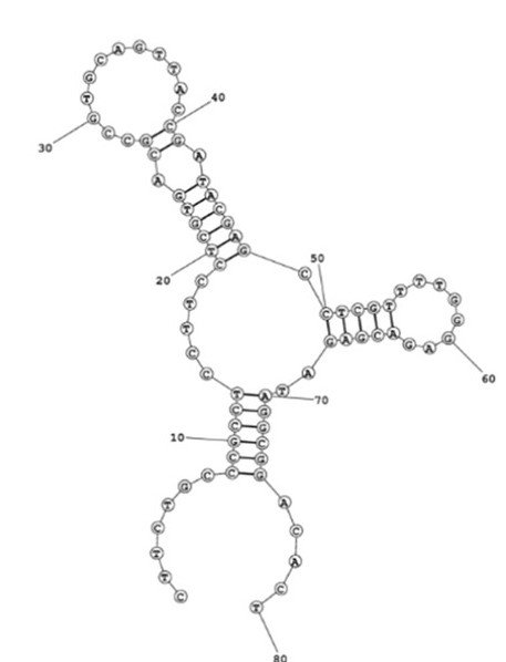 B01 structure