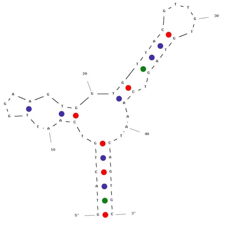 Apt-07S structure