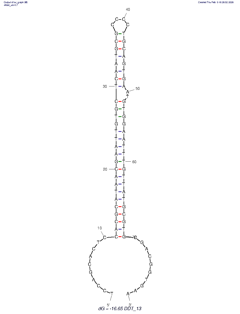 Aptamer DDT structure