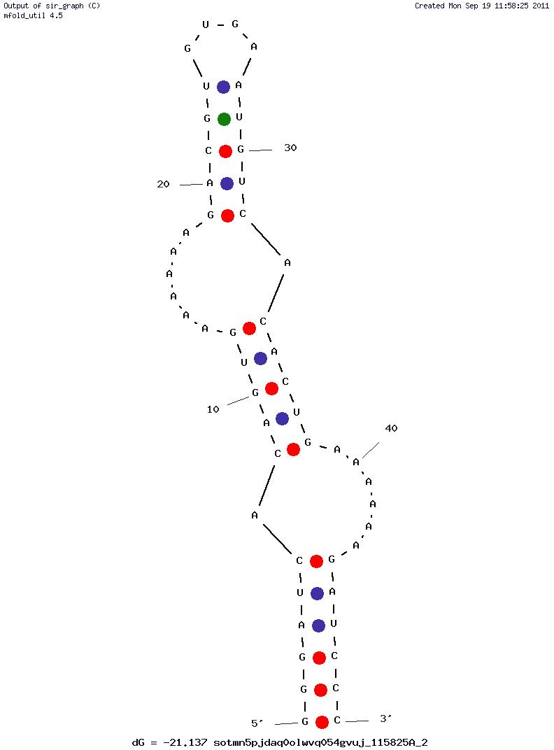 Chloramphenicol (Cm1) structure