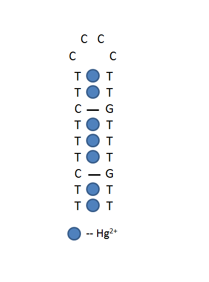 Mercury II (Hg2+) structure
