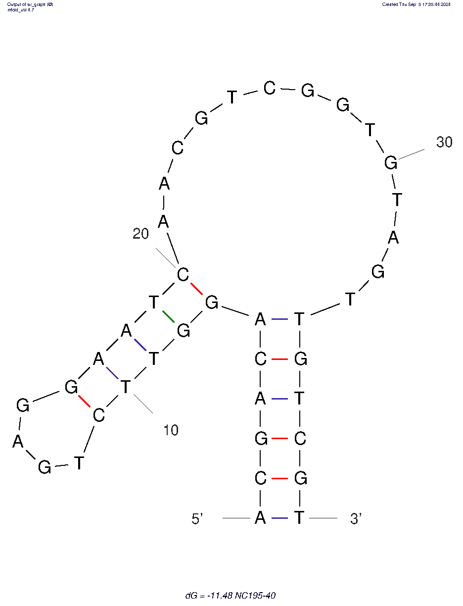 NC195–40 structure