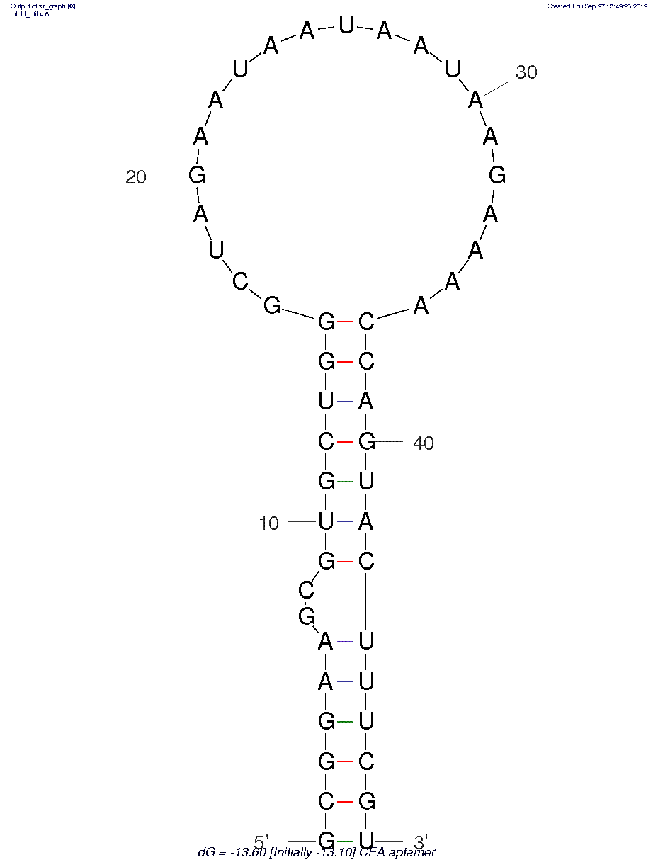 Carcinoembryonic Antigen Aptamer (YJ-1) structure