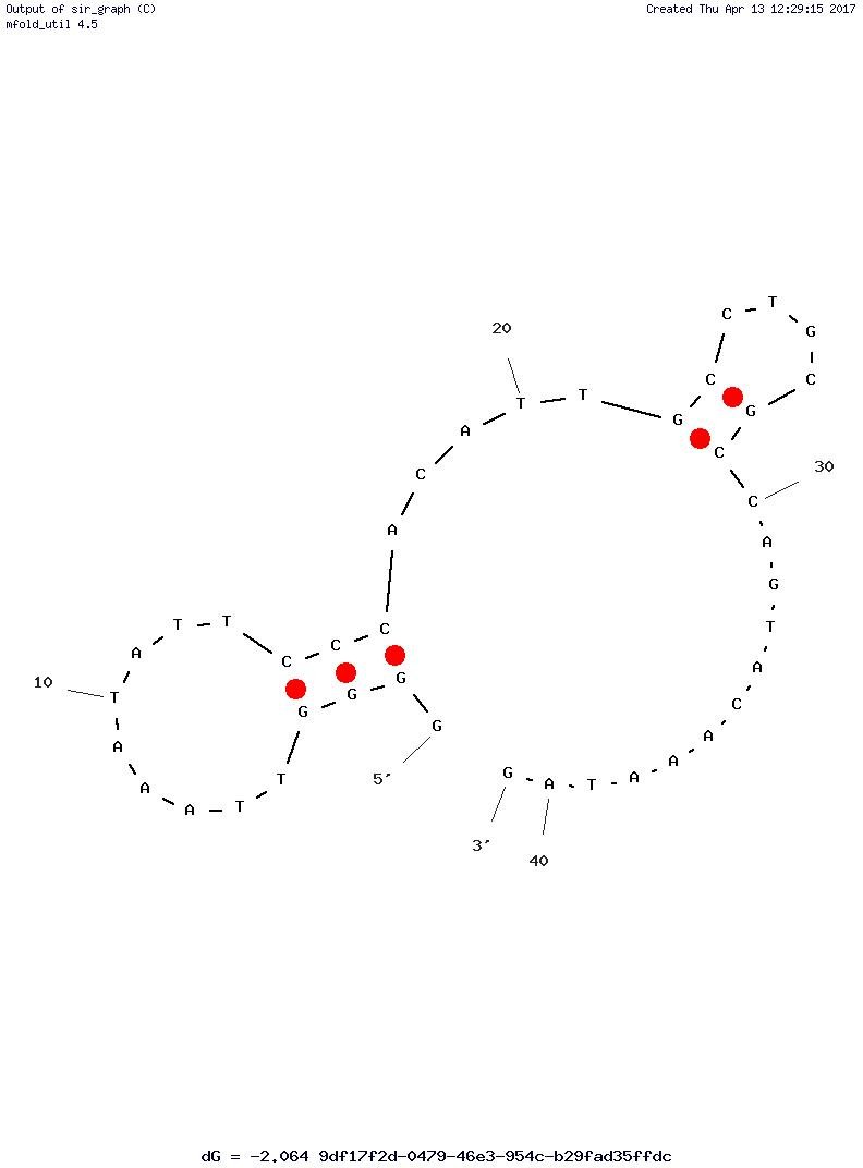 DTA-64 structure