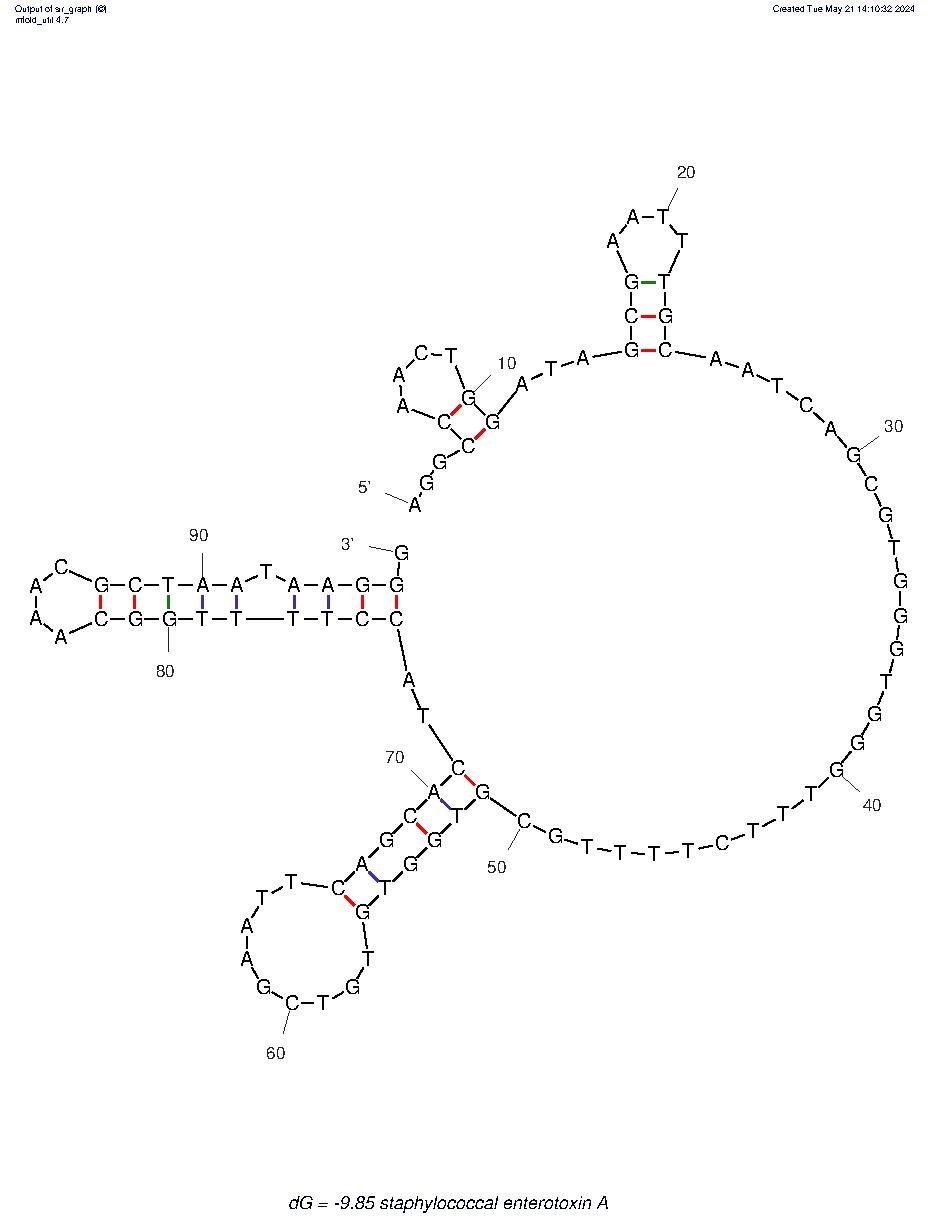 Staphylococcal Enterotoxin A structure