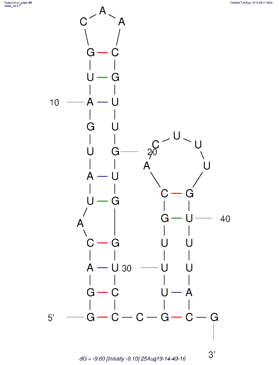 sTN58 structure