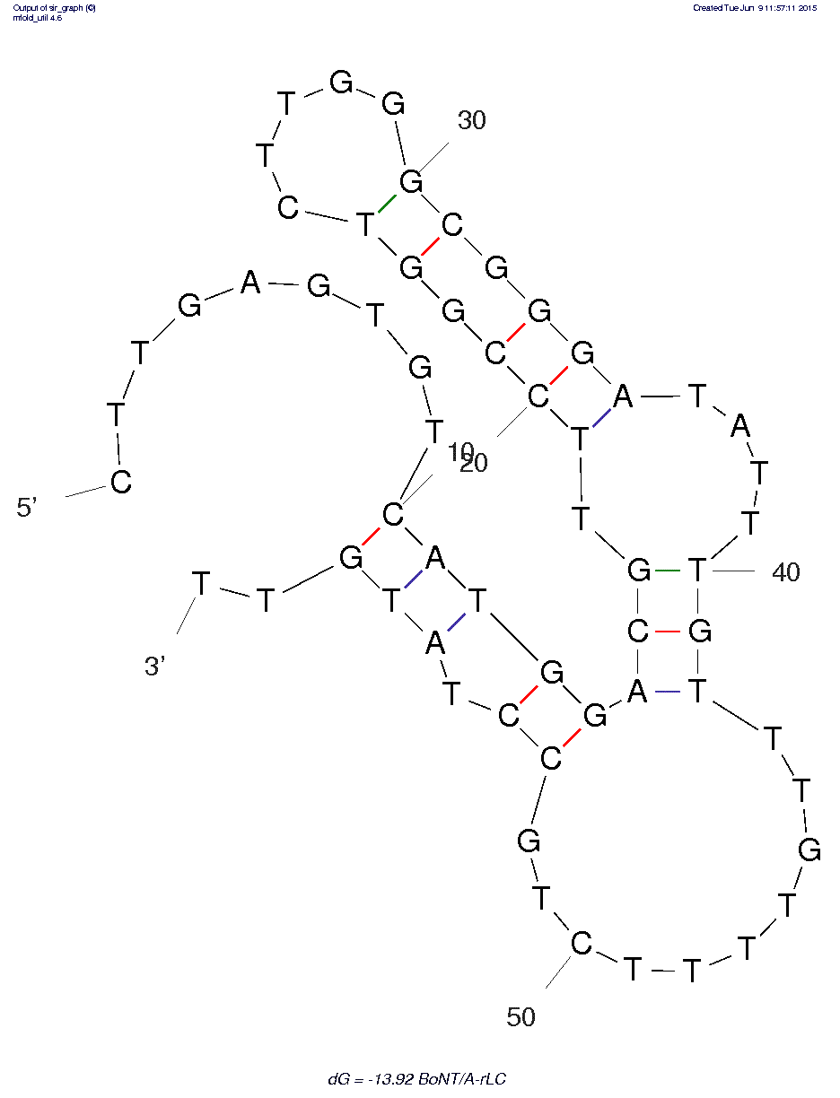 Botulinum neurotoxin type A (BoNT A) Aptamer structure