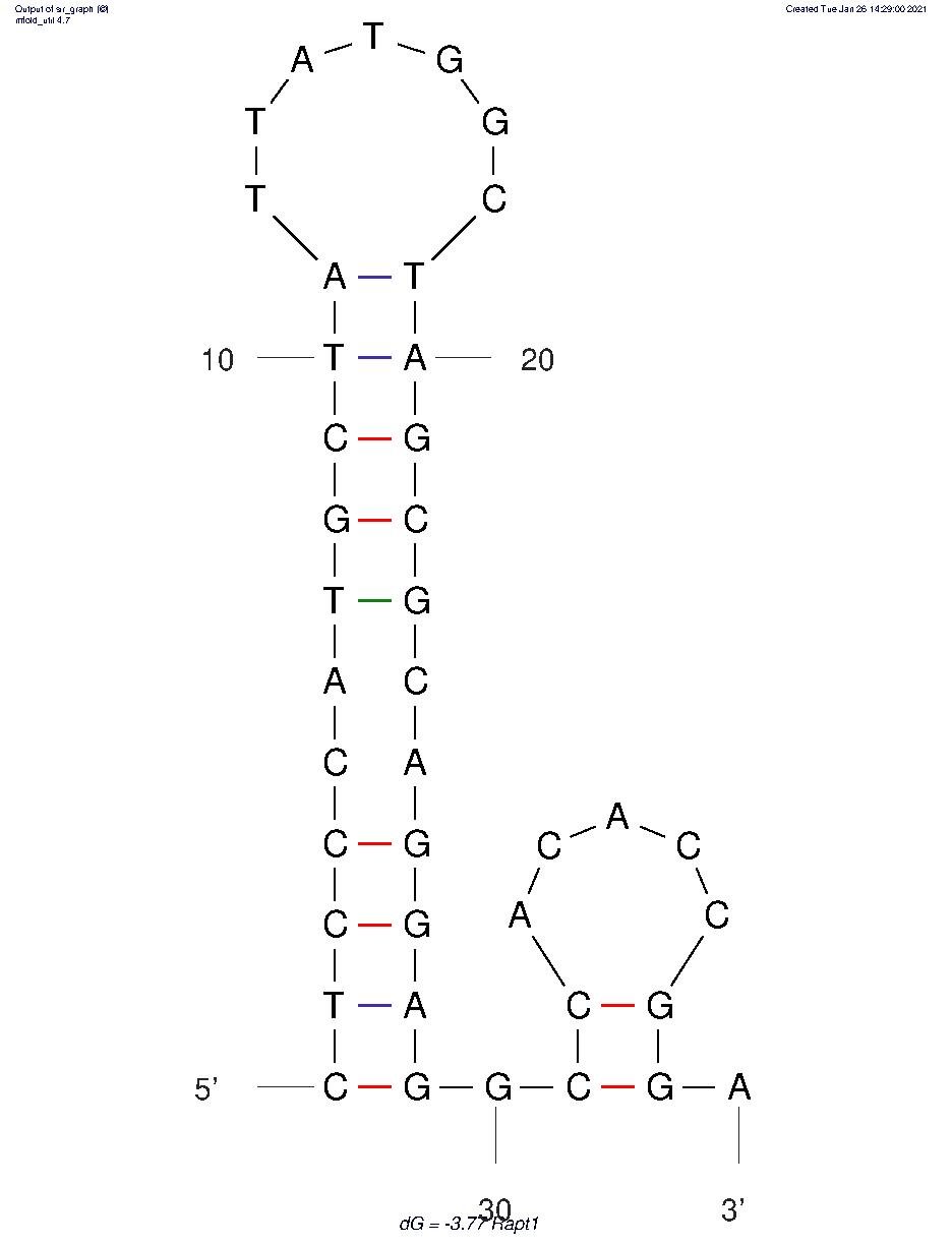 Rapt1 structure