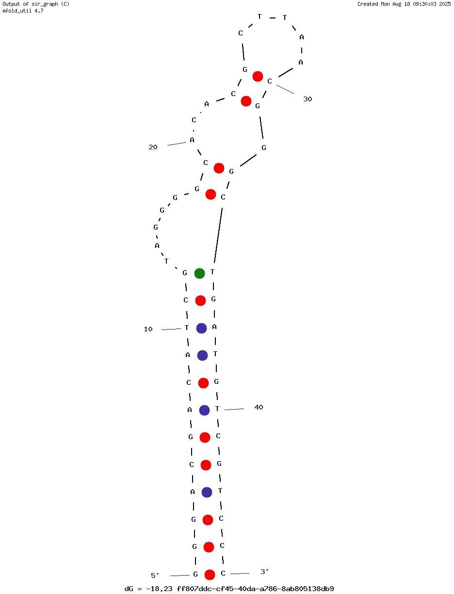 OM7 structure