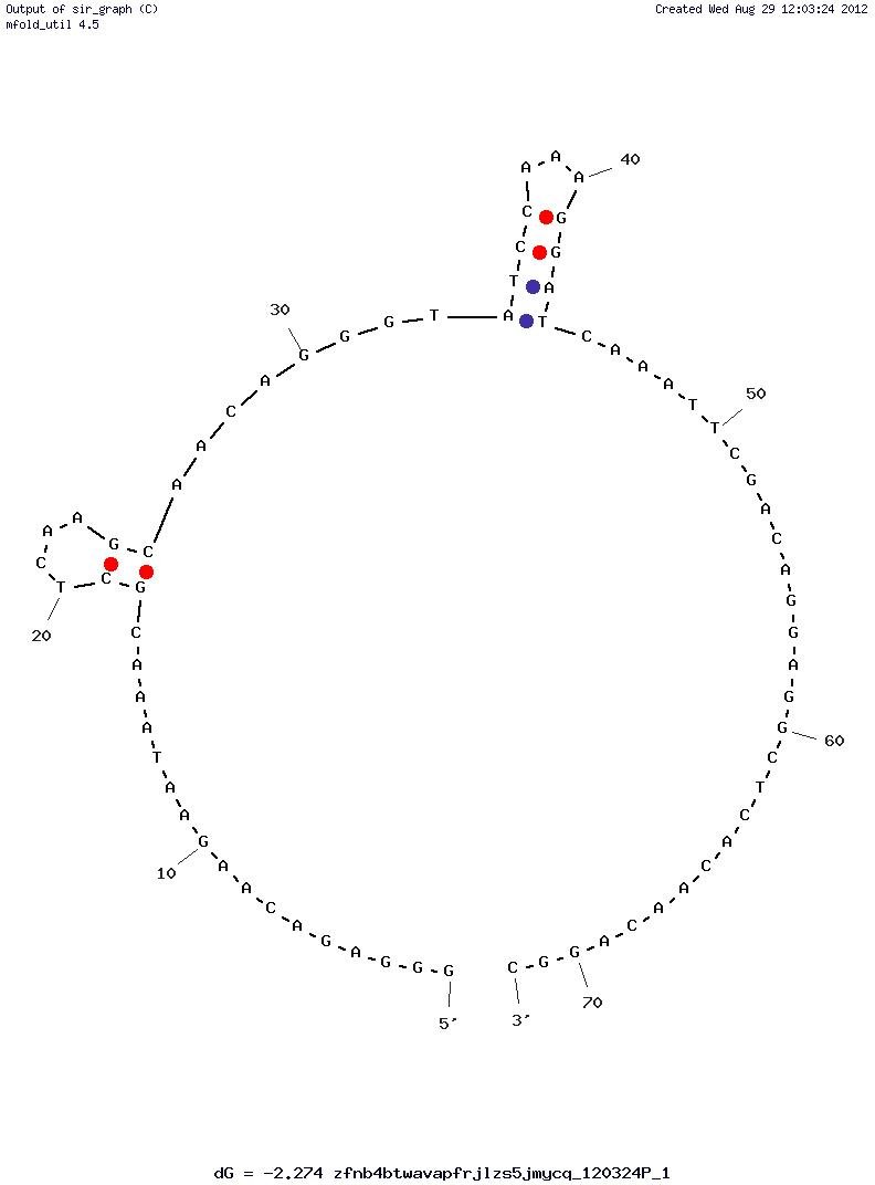 Tumour Marker MUC1 (S1.6) structure