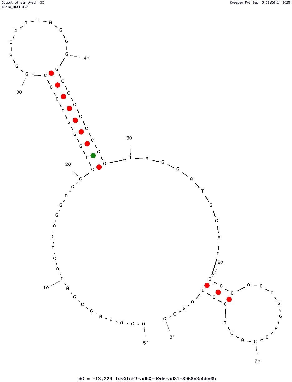 RNV95 structure
