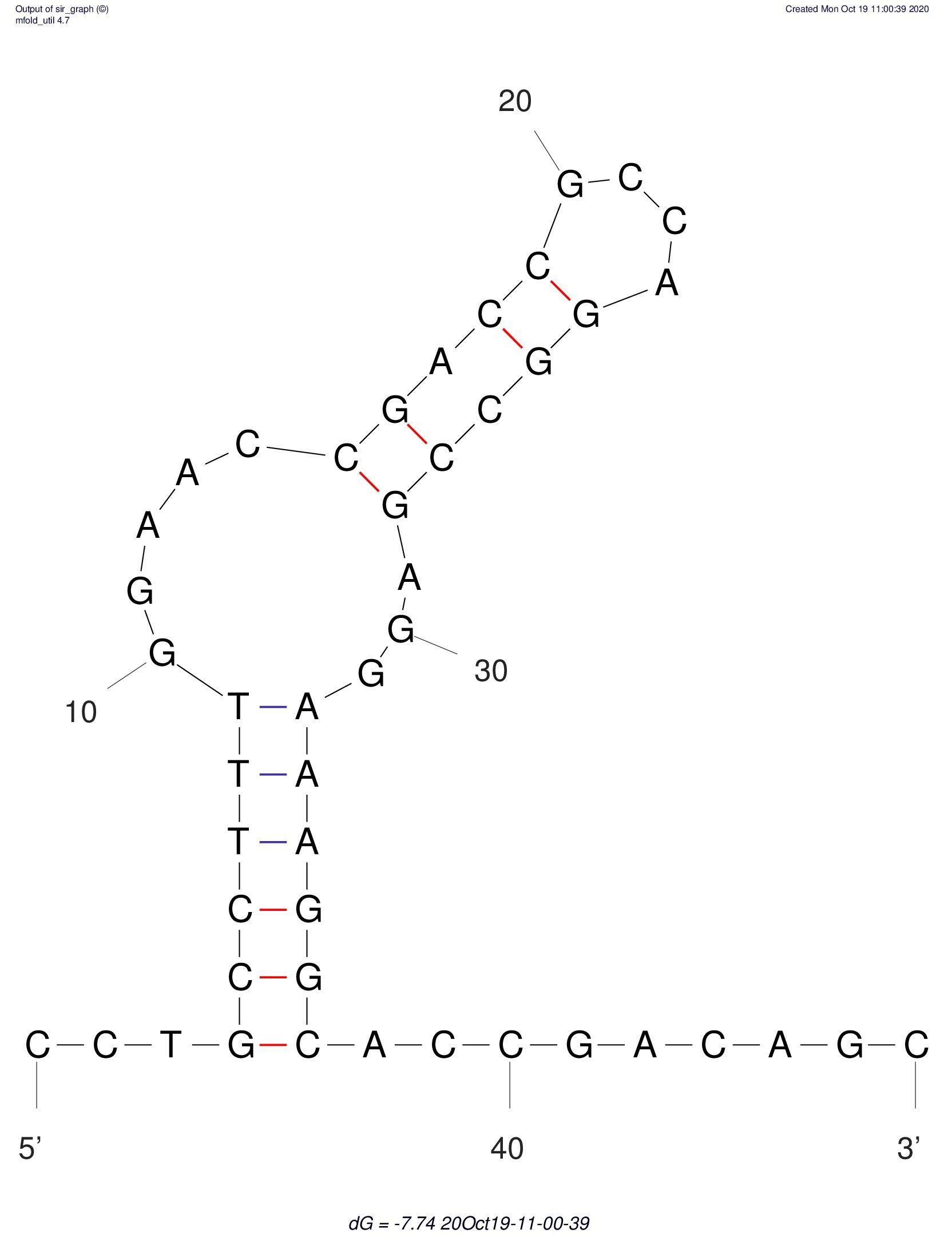 Aptamer A1 structure