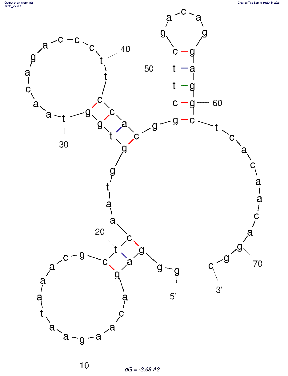 A2 structure