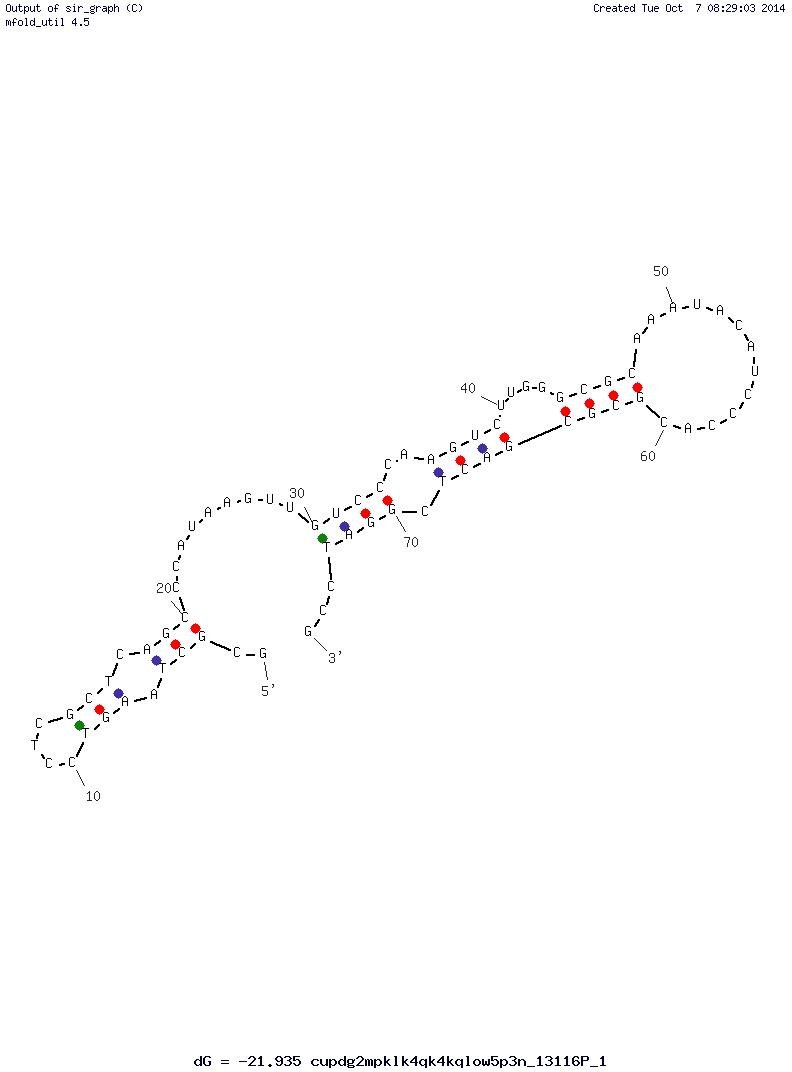 Clone 488 structure
