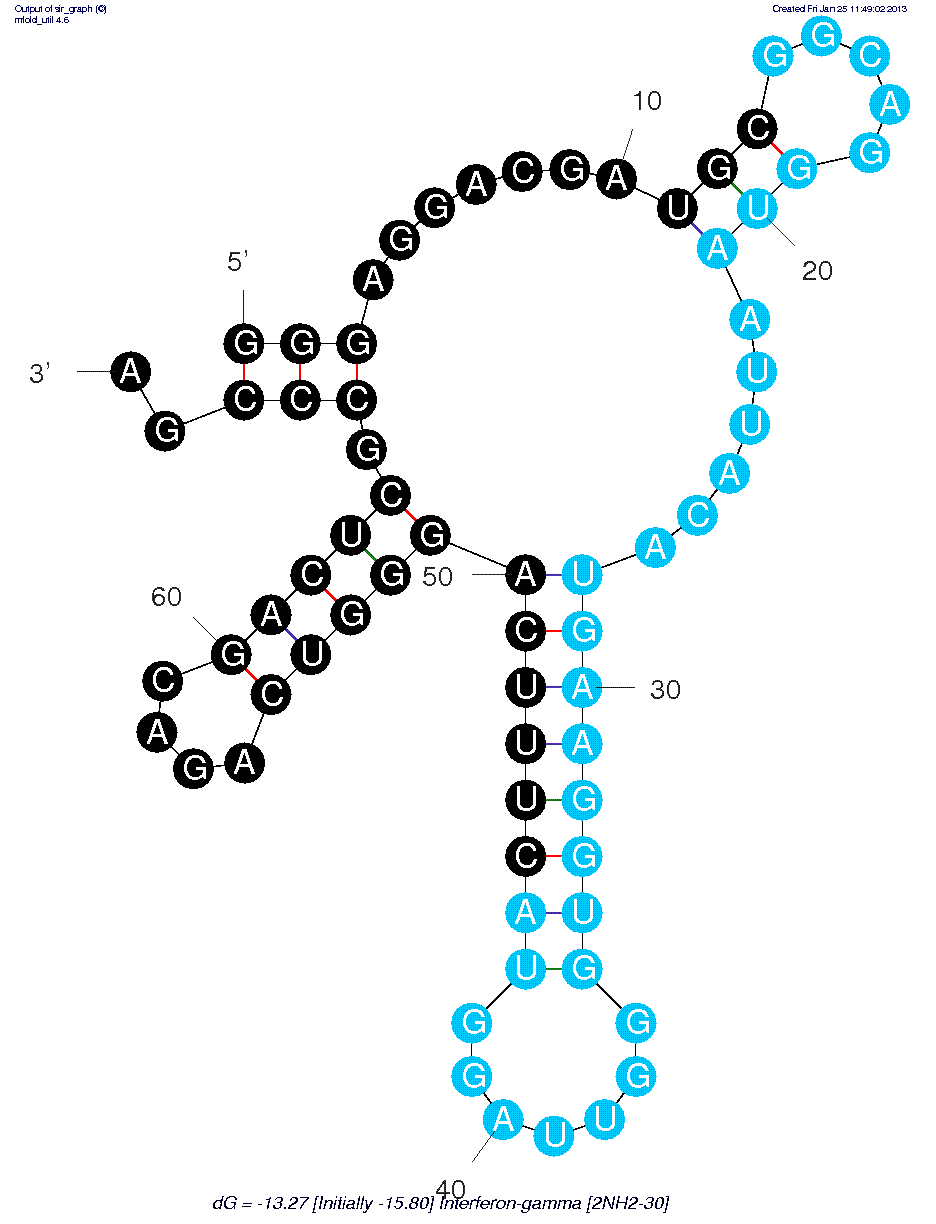Interferon-? (2’NH2-30) structure