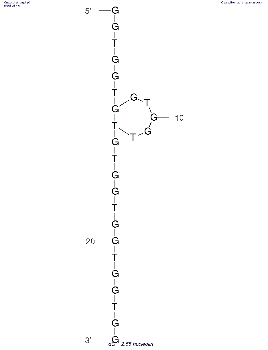 Nucleolin aptamer (AS1411) structure