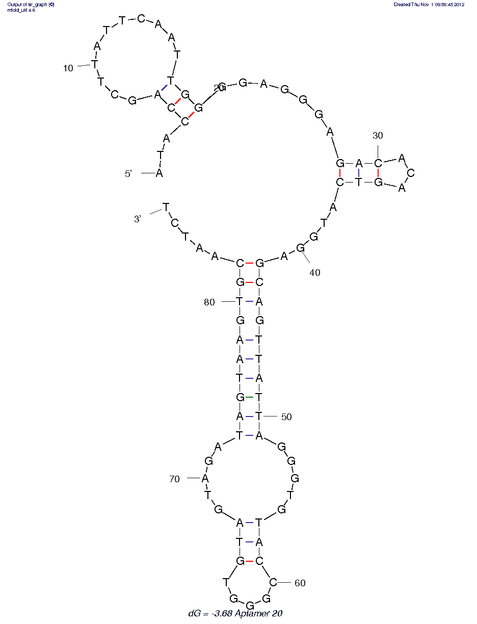 HPV-HF cell line (20) structure