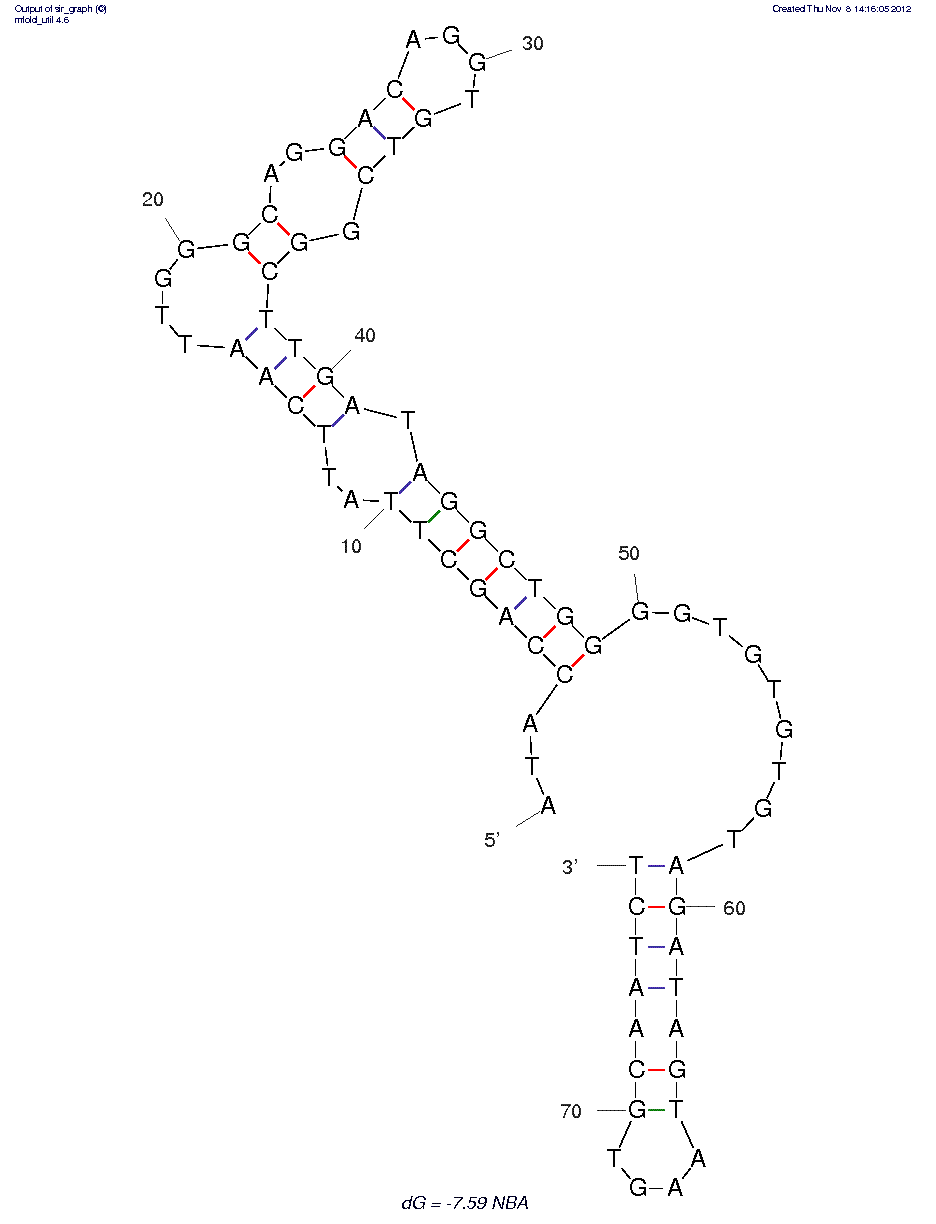Nampt binding aptamer (NBA) structure