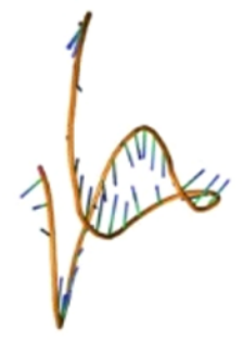 Enthalpy Driven Aptamer SYL-H2C structure
