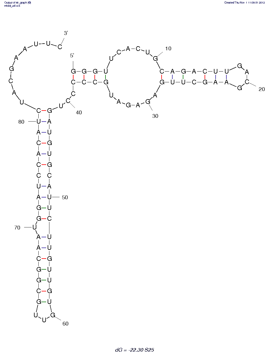 Salmonella Enteritidis (S25) structure