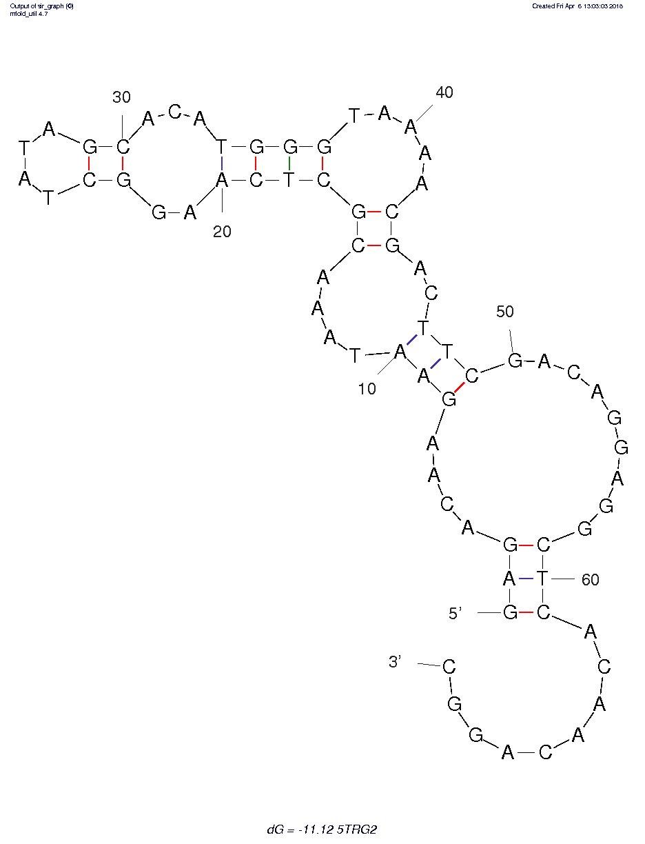 5TRG2 structure