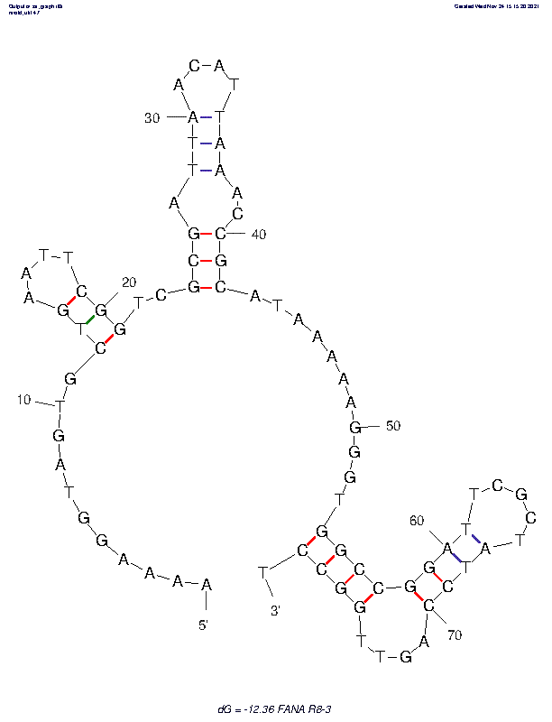 FANA R8-3 structure