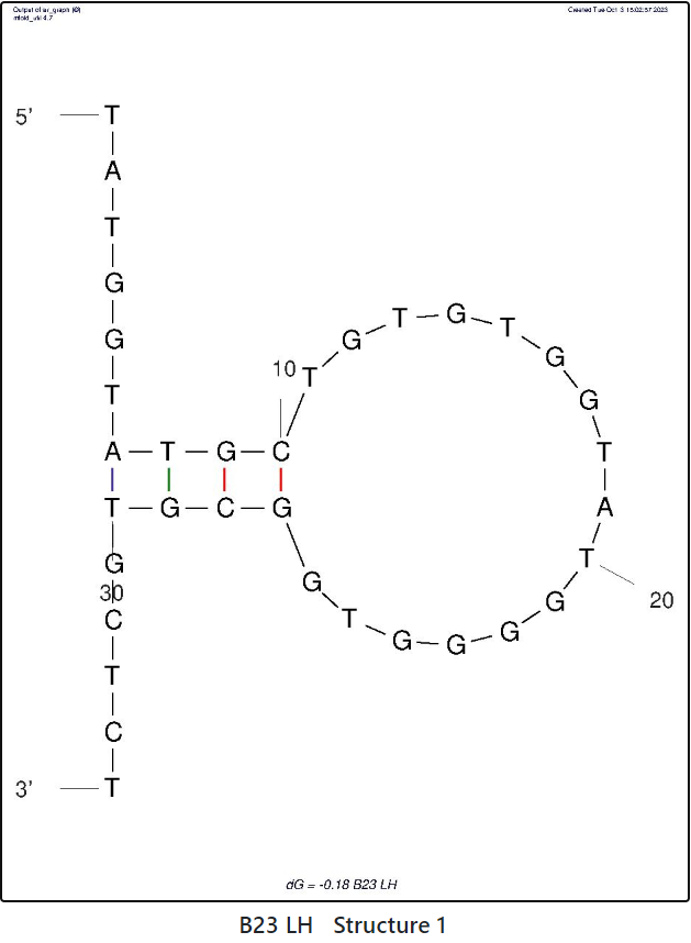 B23 LH aptamer structure