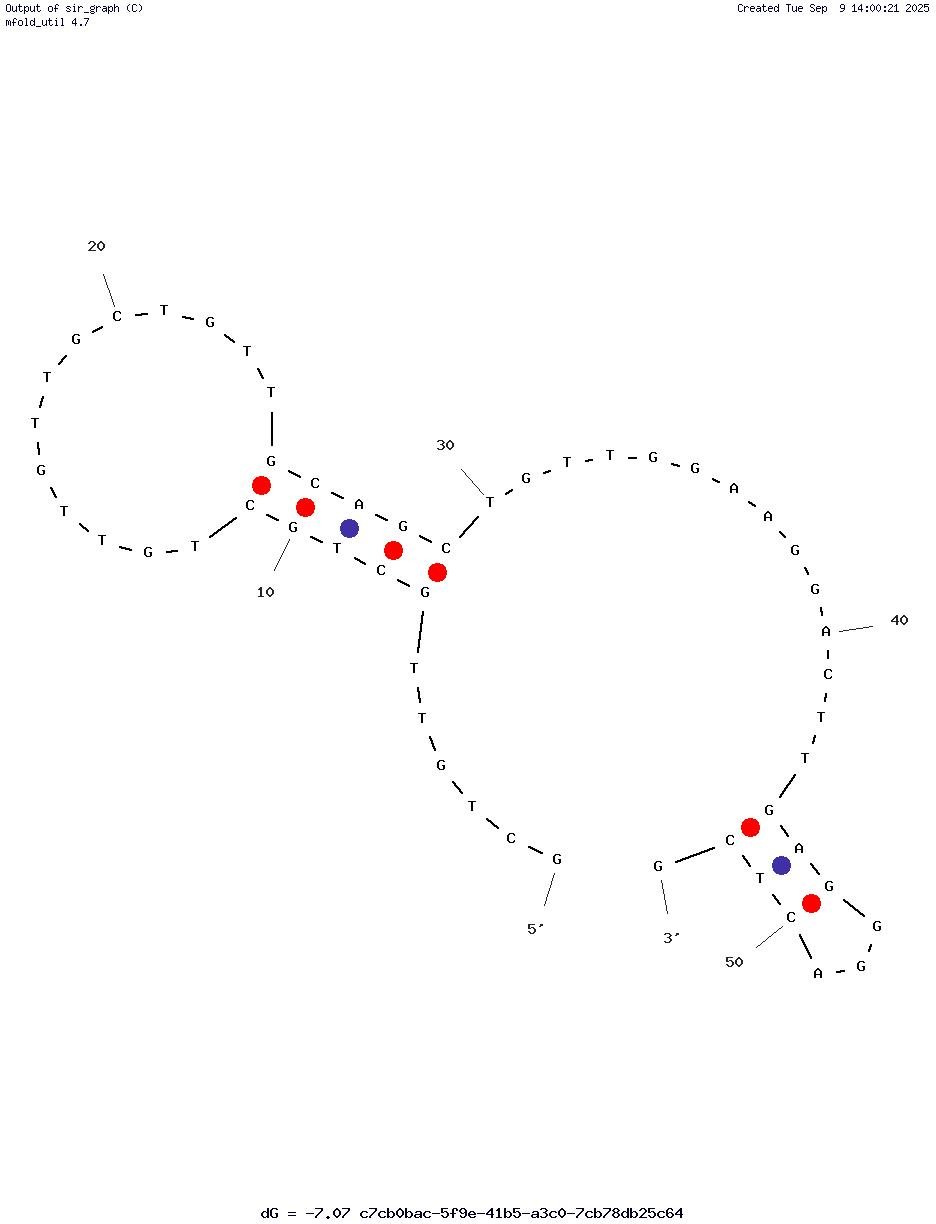 HD3S/53 structure