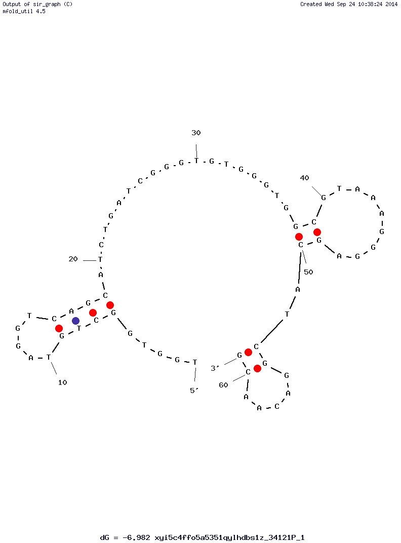 Aptamer 1.12 structure