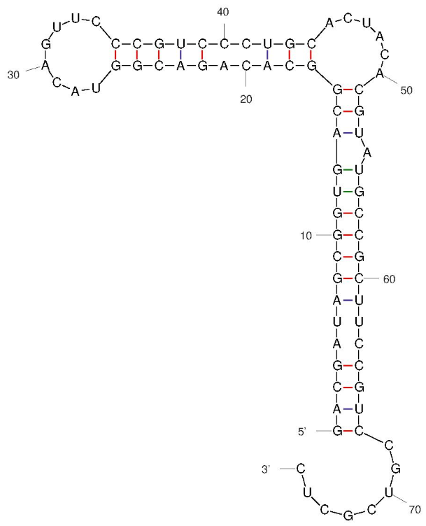 MP7 structure