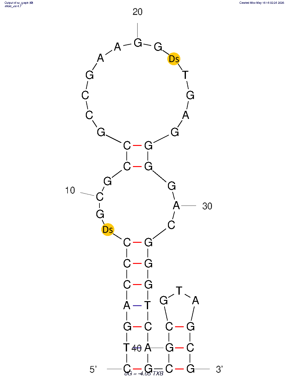 FLT3 (FMS-like Tyrosine Kinase-1) targeting aptamers structure