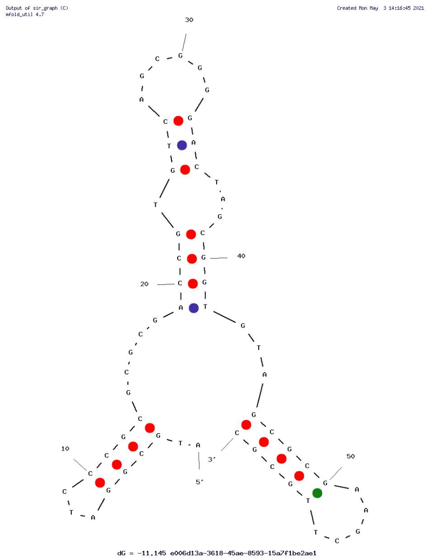 HBA1 structure