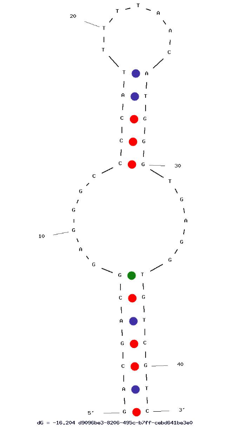 R10X4 structure