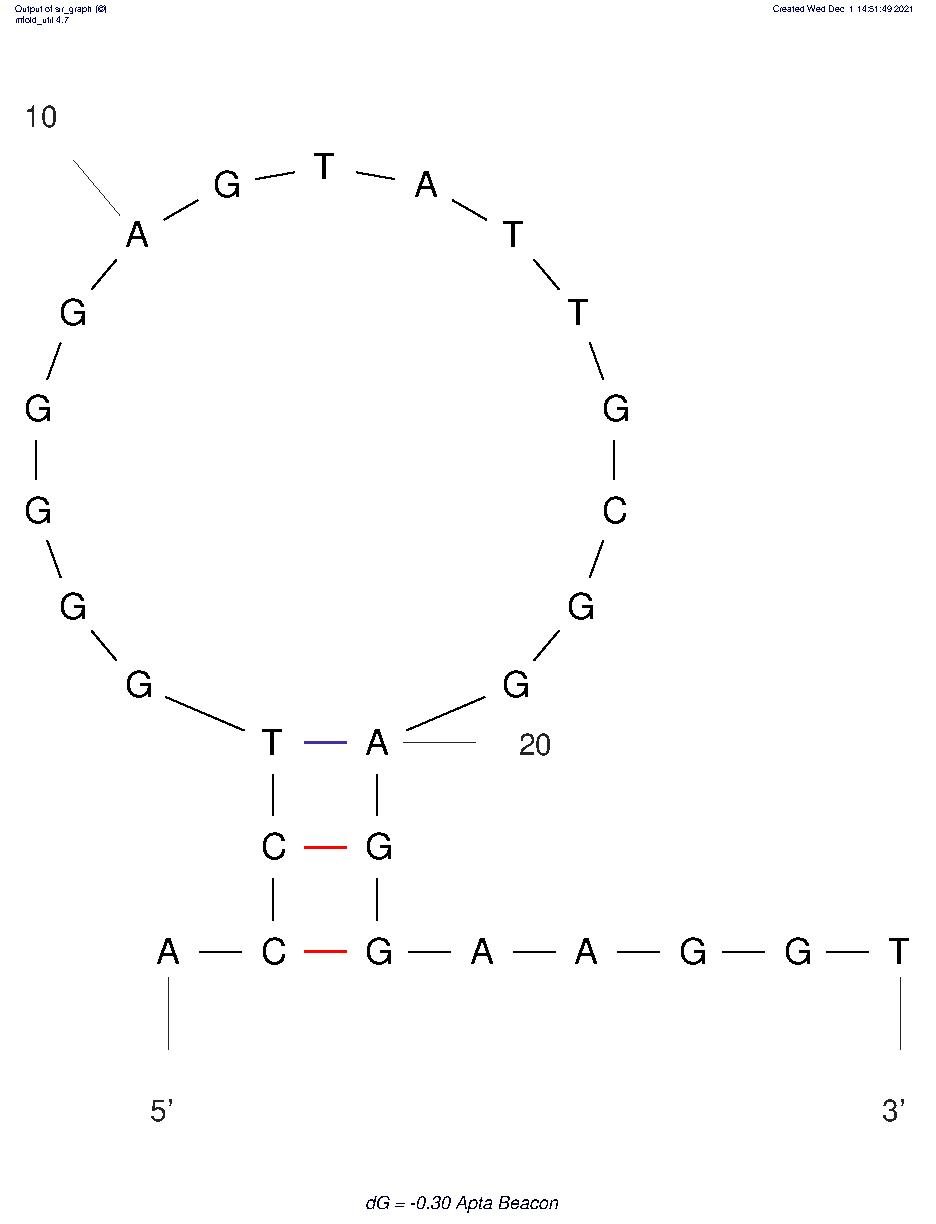 Aptamer Beacon structure