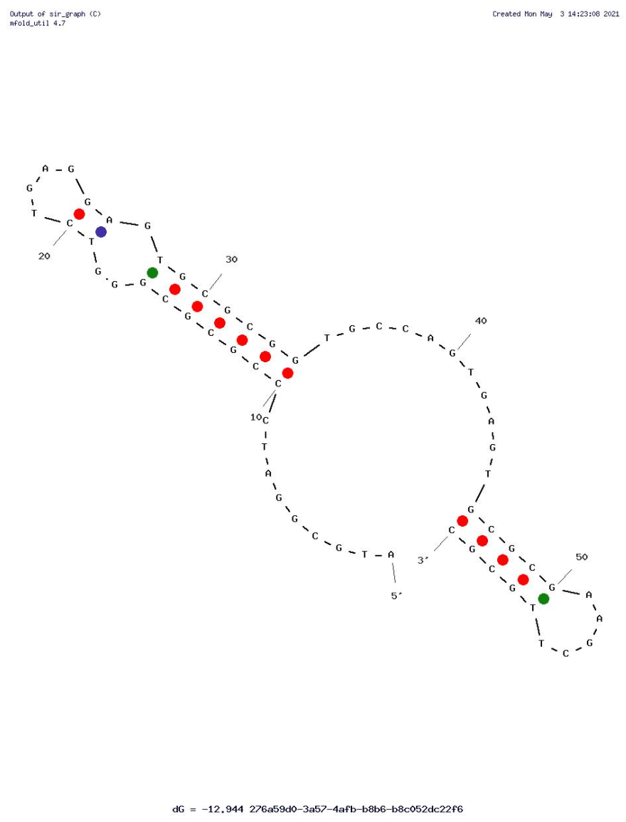 HBA2 structure
