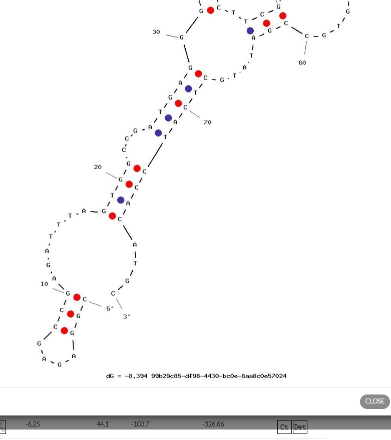LepDapt9149 structure