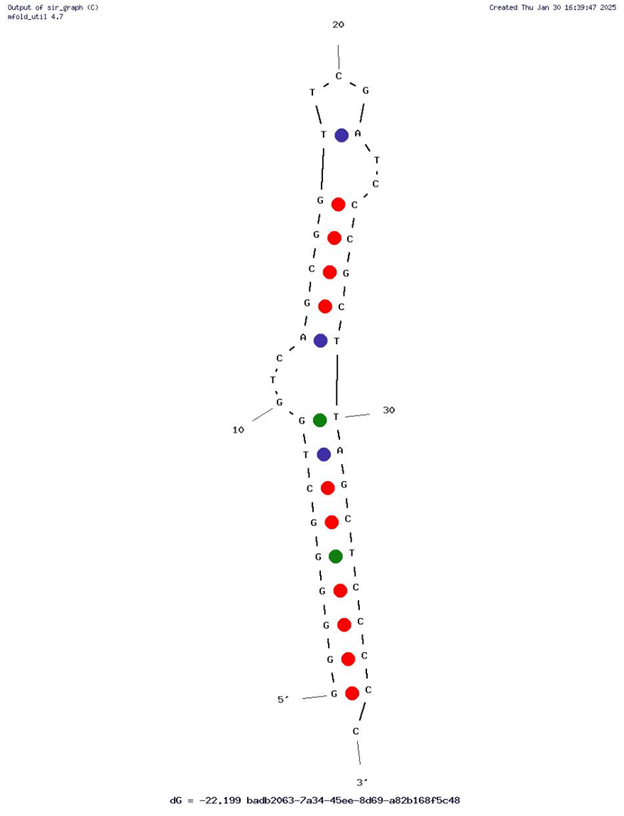 Aptamer T1 against VP2 of FMDV capsid protein structure