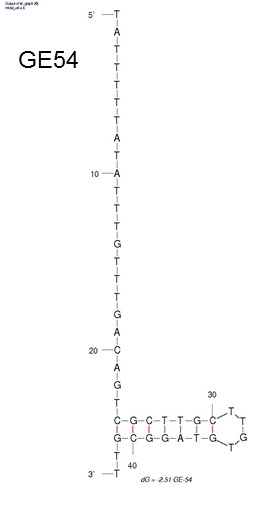 GE54 structure