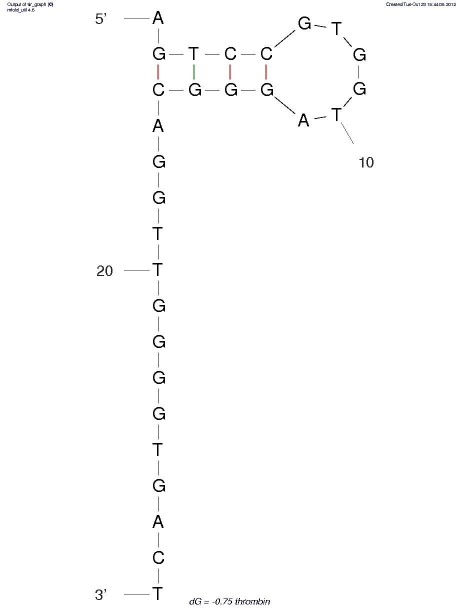 Thrombin (29mer) structure