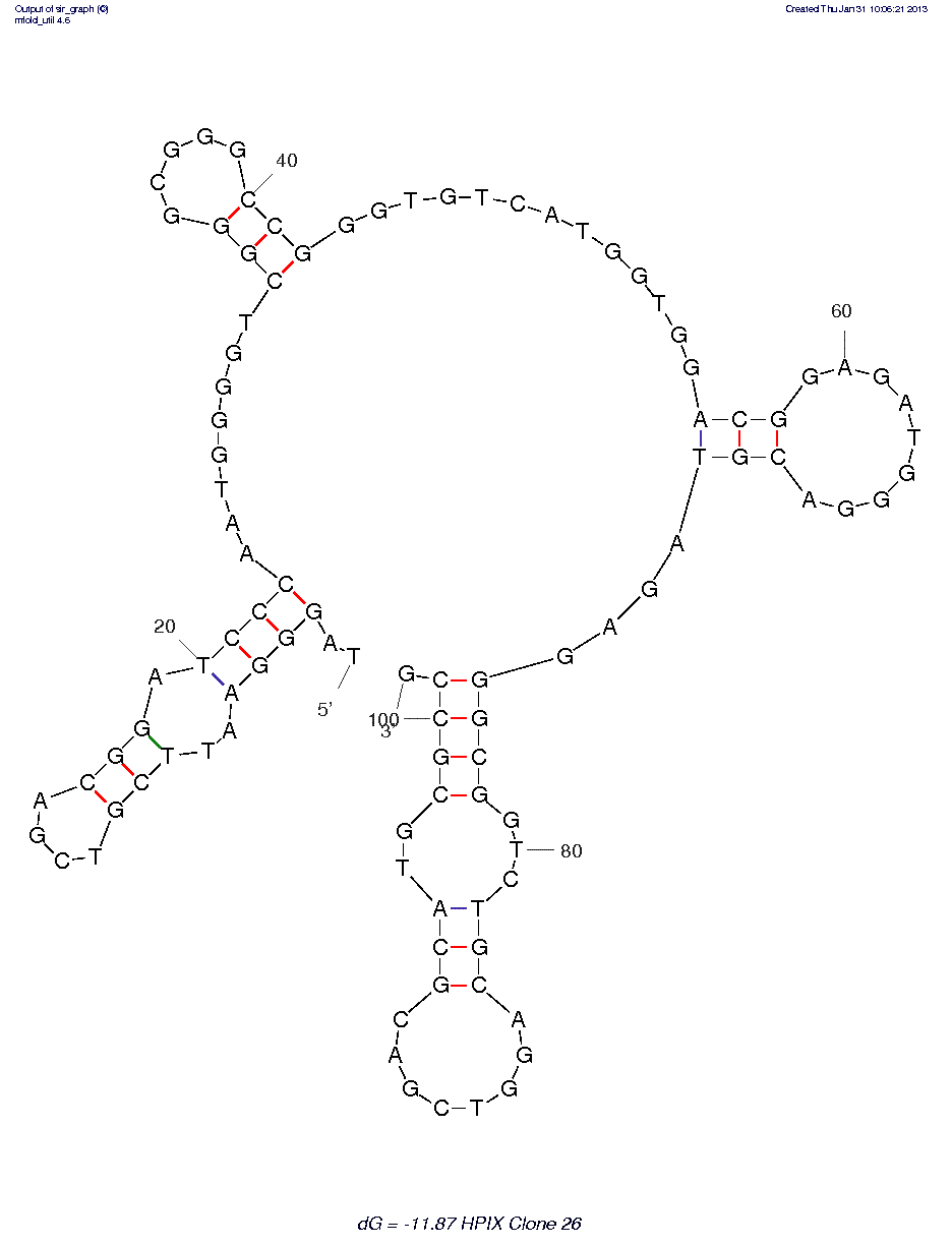 Hematoporphyrin IX structure