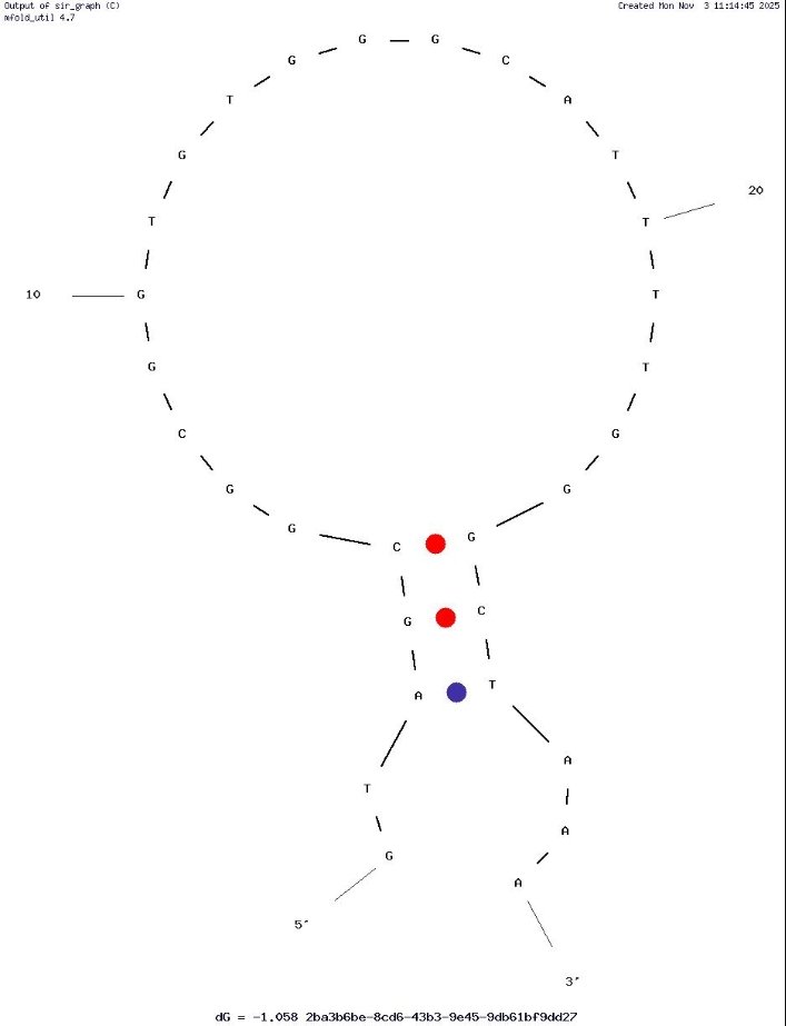 9R-e1 structure