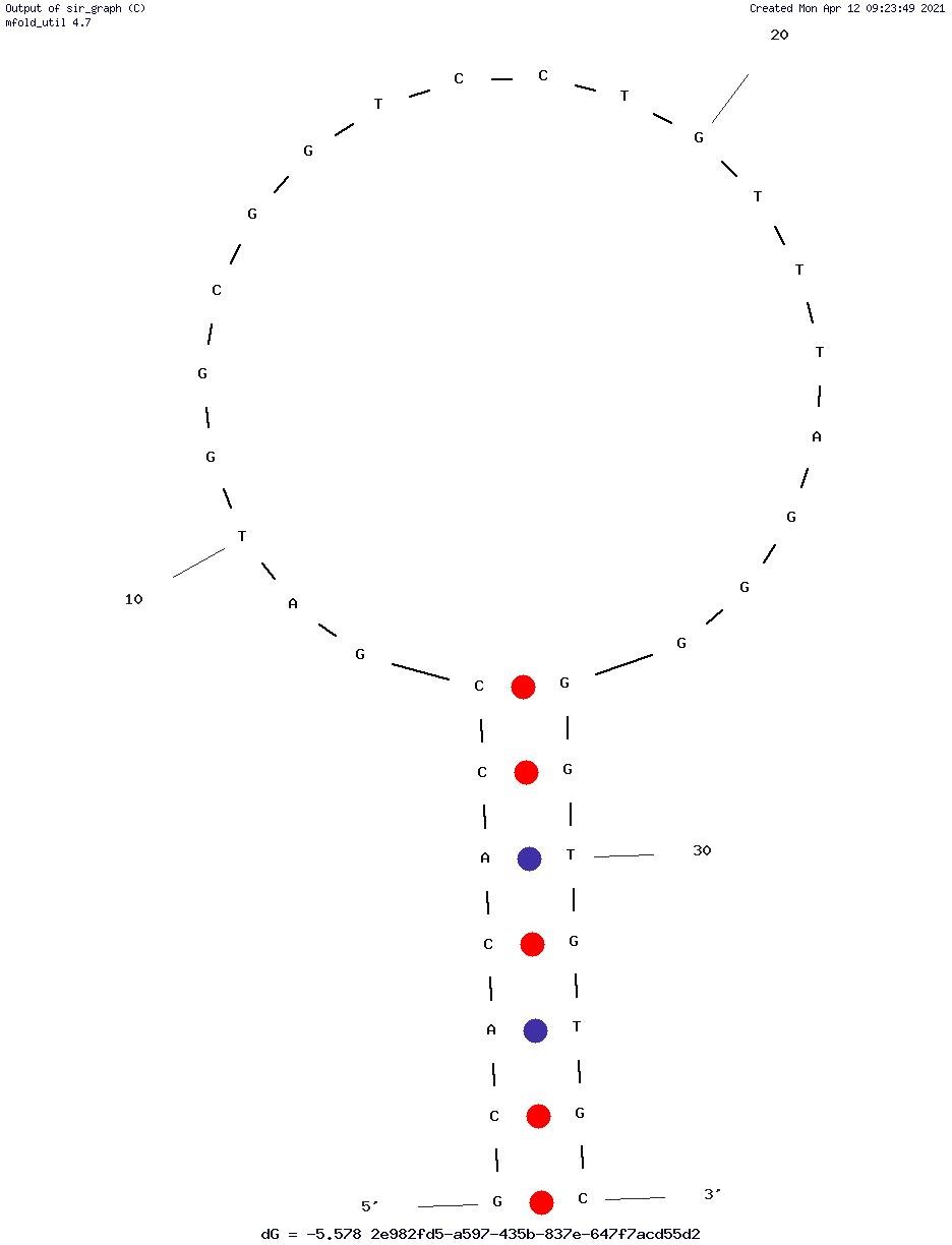 Rd29C33-T7 structure