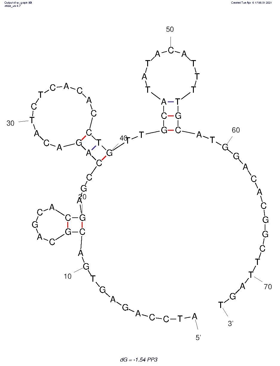 PP3 structure