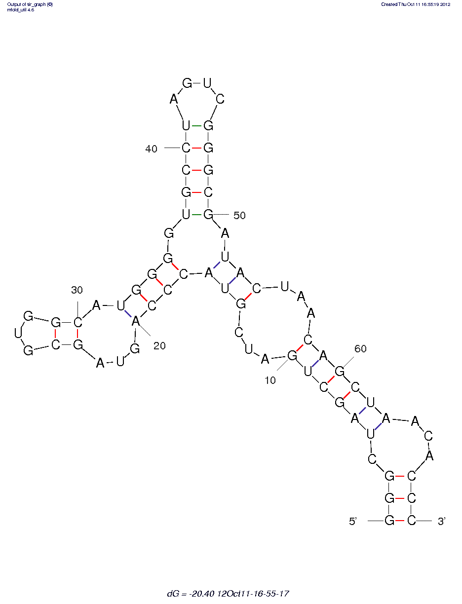 Interleukin-17A/F (IL-17A/F) (APTAF42) structure