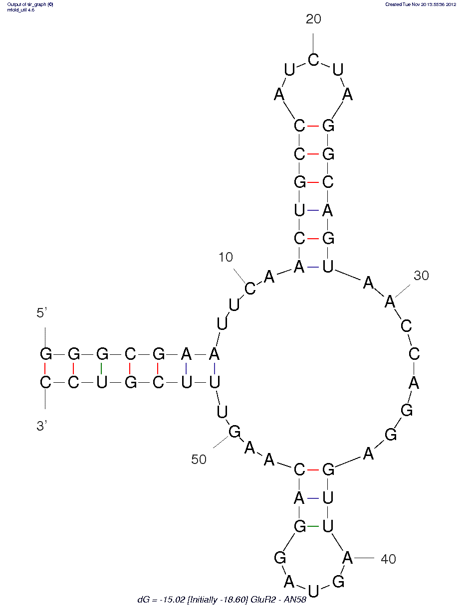 AMPA GluR2 (AN58) structure