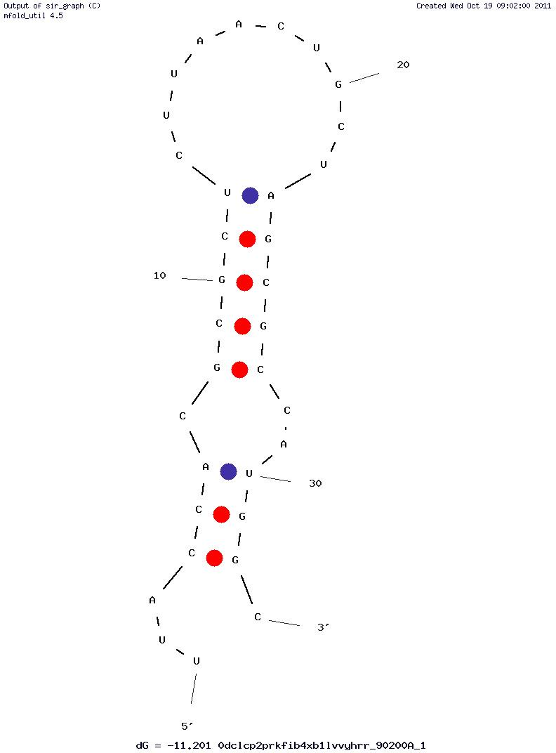Moloney Murine Leukemia Virus structure