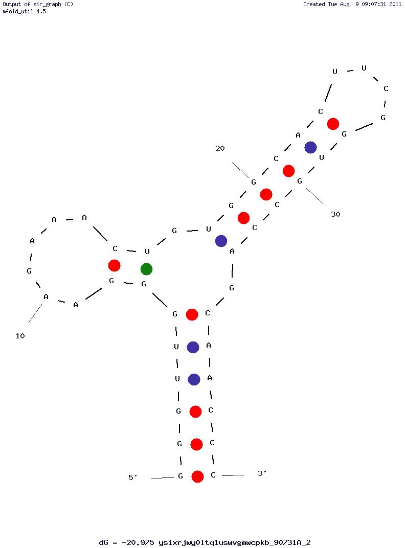 ATP (ATP-40-1) structure